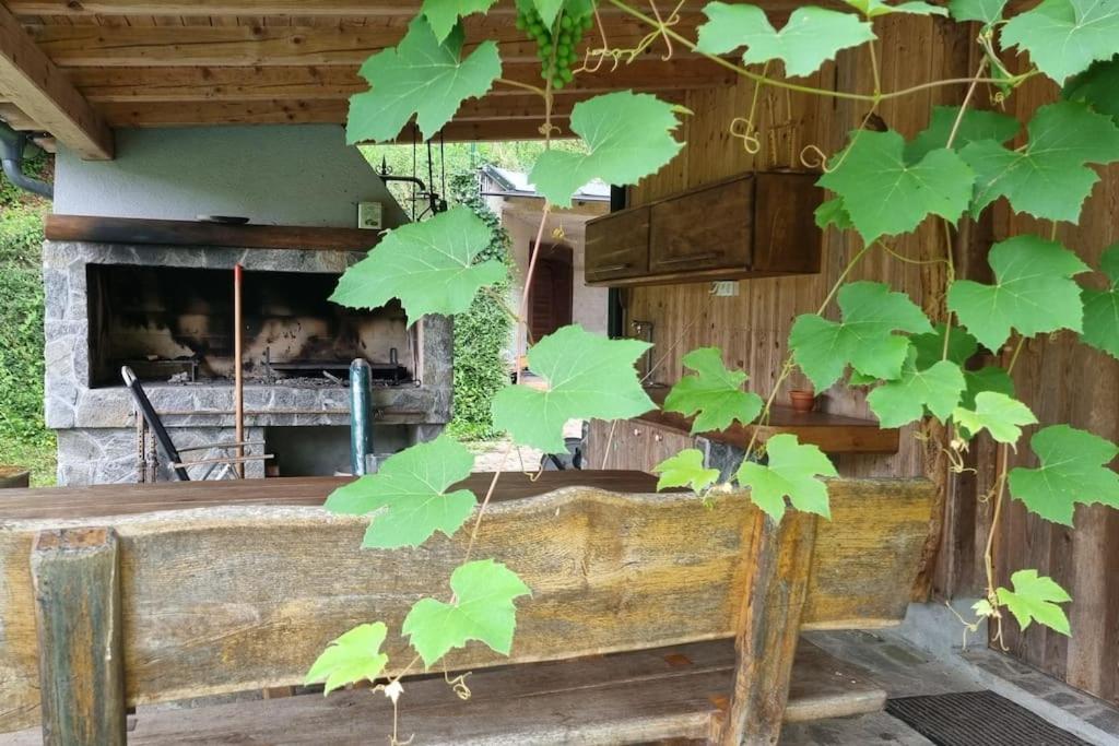 メドヴォデCountry Retreat, Near Ljubljana City, Apartma Na Vasi, Blizu Mesta Ljubljanaアパートメント エクステリア 写真